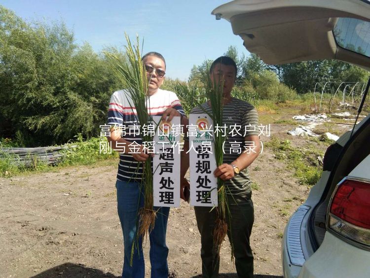 黑龍江雙鴨山市與佳木斯市的超聲波玉米、水稻種植田調(diào)查