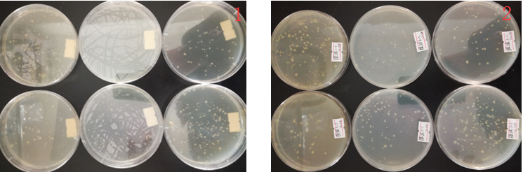“超聲波處理對稻谷表面微生物的影響”發表論文啦！！