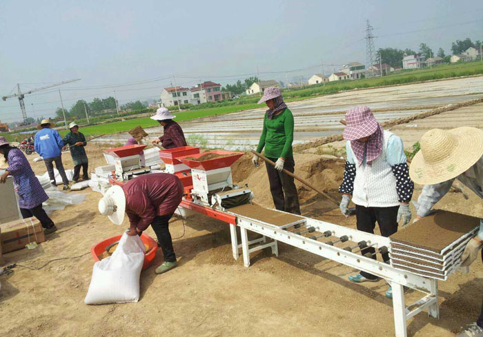 1700970771208174.jpg 2.jpg