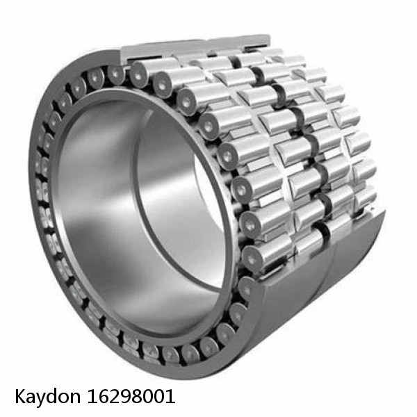 16298001 Kaydon Slewing Ring Bearings