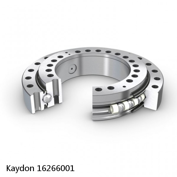16266001 Kaydon Slewing Ring Bearings
