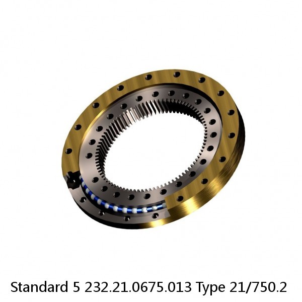 232.21.0675.013 Type 21/750.2 Standard 5 Slewing Ring Bearings