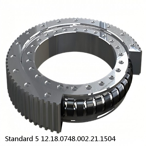 12.18.0748.002.21.1504 Standard 5 Slewing Ring Bearings