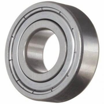 SKF 6203-2RS Ball Bearings 6202-2RS 6204-2RS 6205-2RS 6206-2RS C3