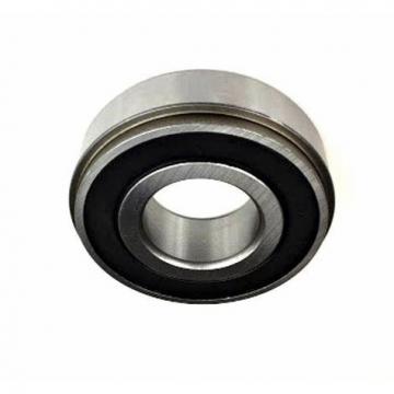 17TM09U40AL Deep Groove Ball Bearing 17x39x11.18mm