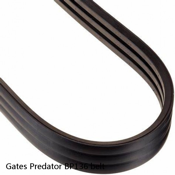 Gates Predator BP136 belt