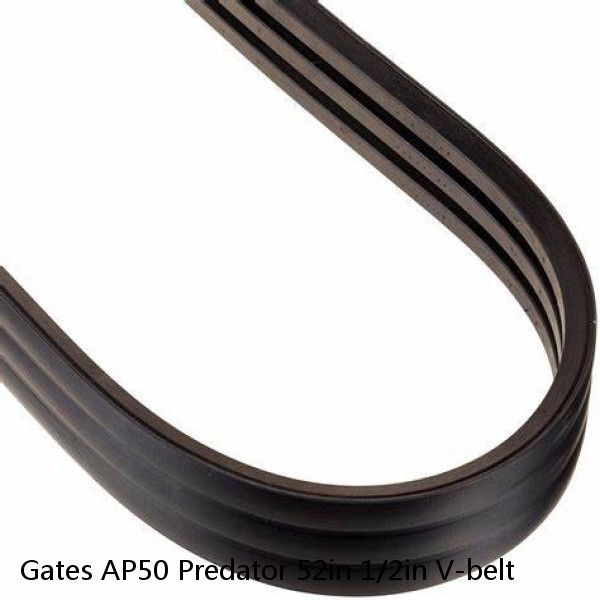 Gates AP50 Predator 52in 1/2in V-belt