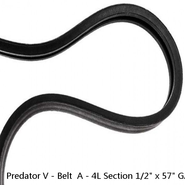 Predator V - Belt  A - 4L Section 1/2" x 57" GATES 4L570 / AP55